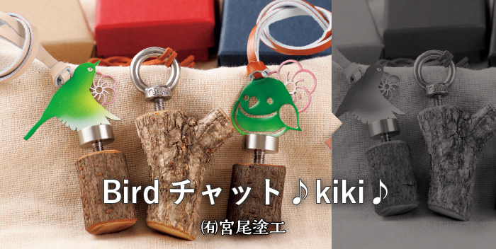 Birdチャット kiki / 有限会社宮尾塗工 しらかわDIY工房380